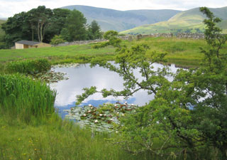 Tarn Outdoor Centre Cumbria